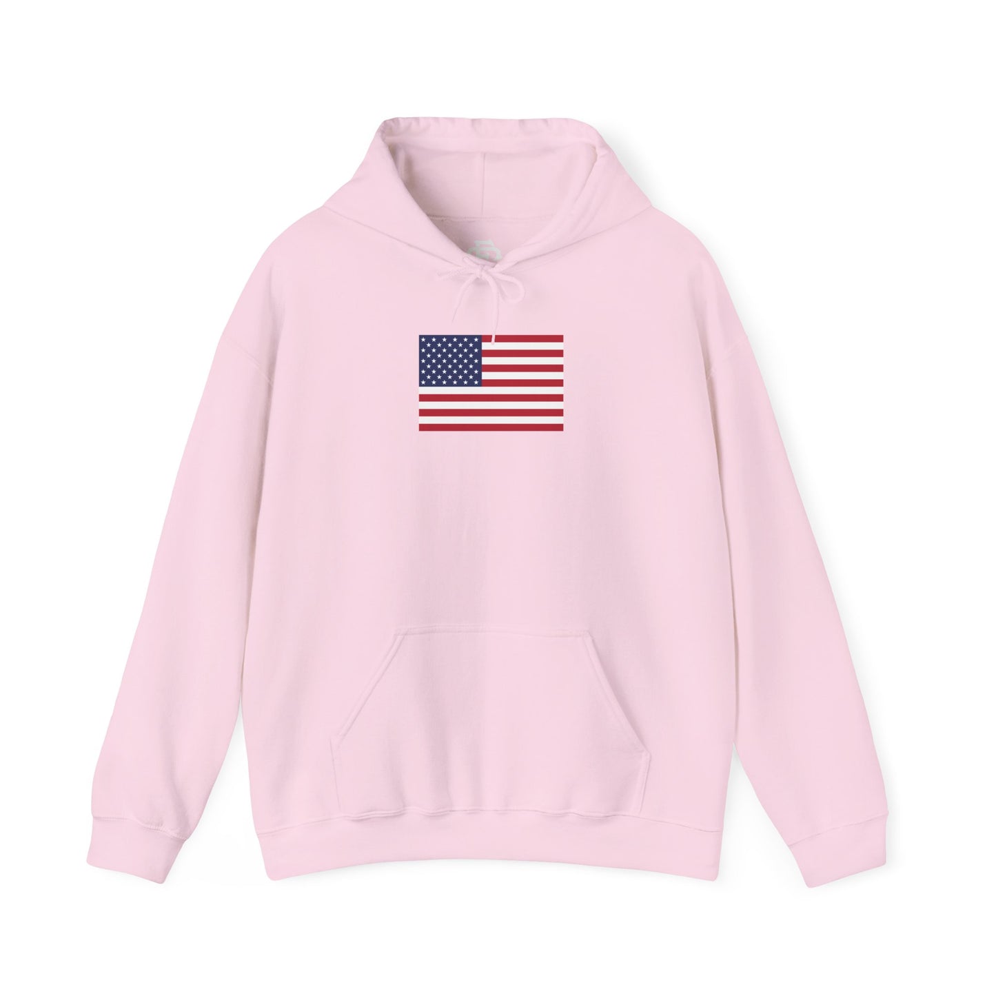 USA (Large Flag) Hoodie