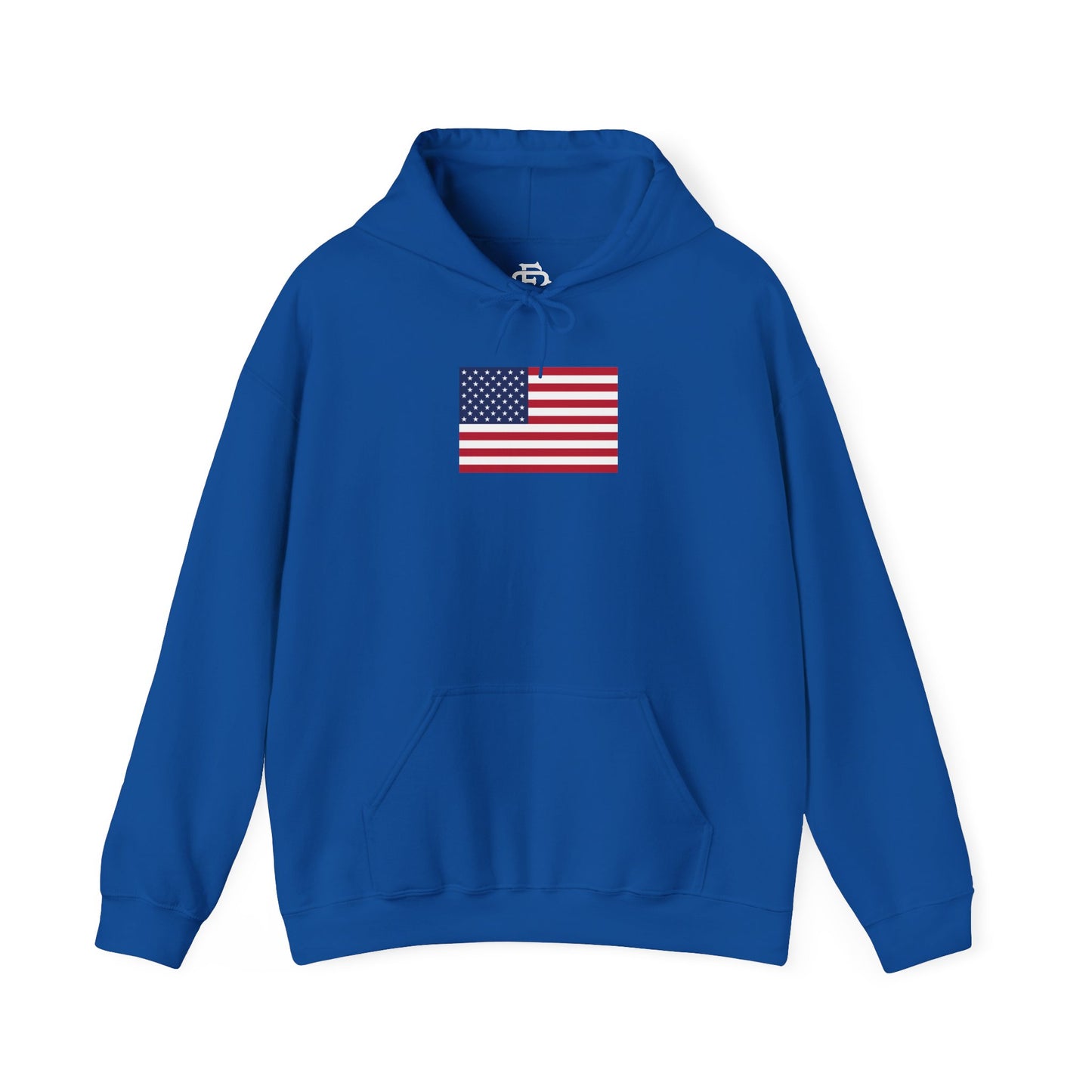 USA (Large Flag) Hoodie
