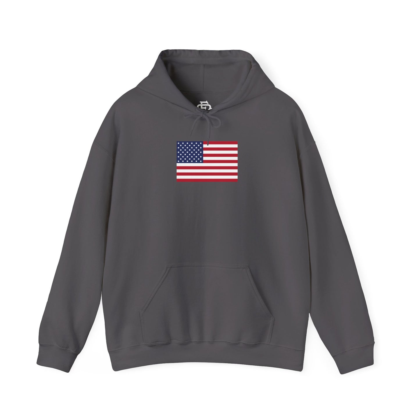 USA (Large Flag) Hoodie