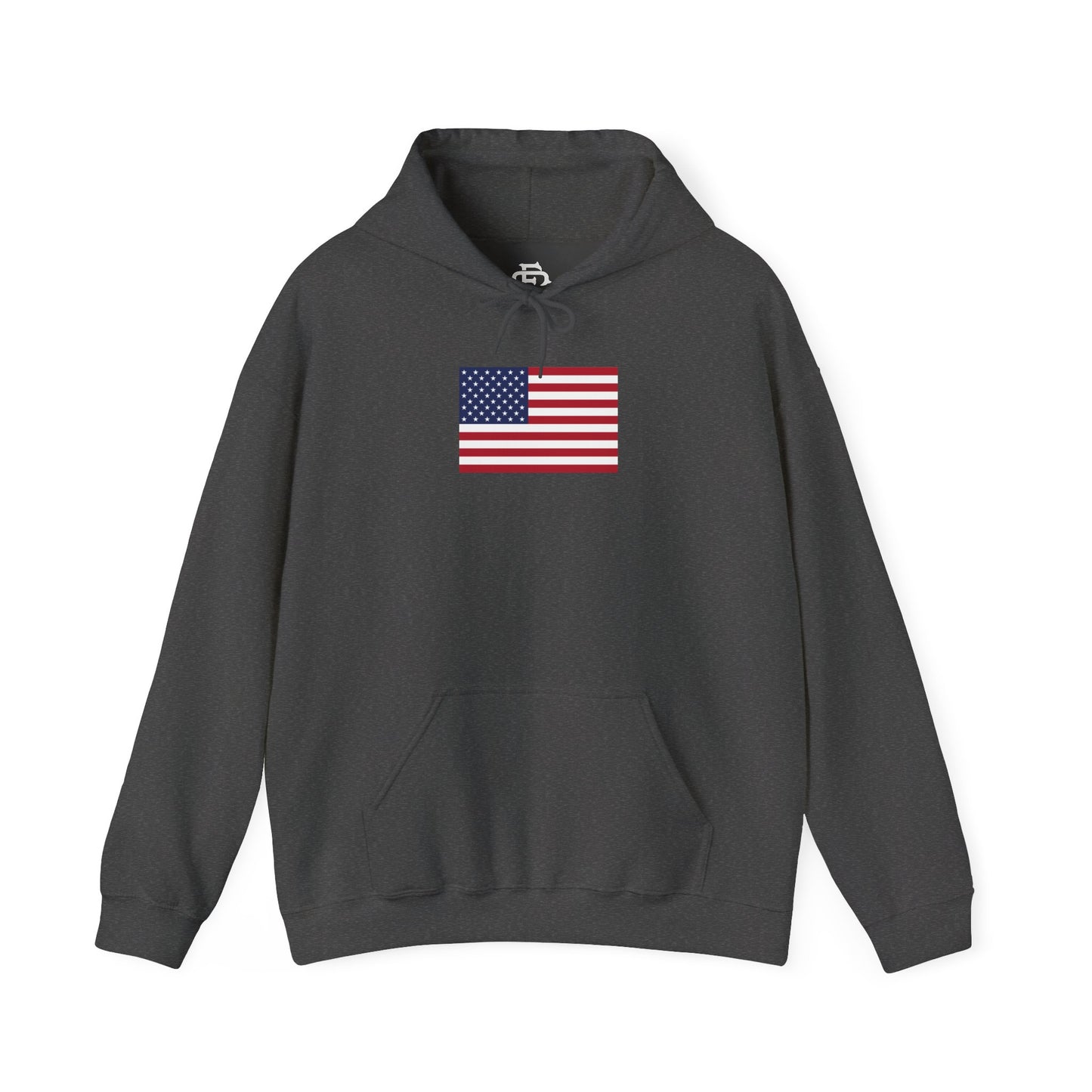 USA (Large Flag) Hoodie
