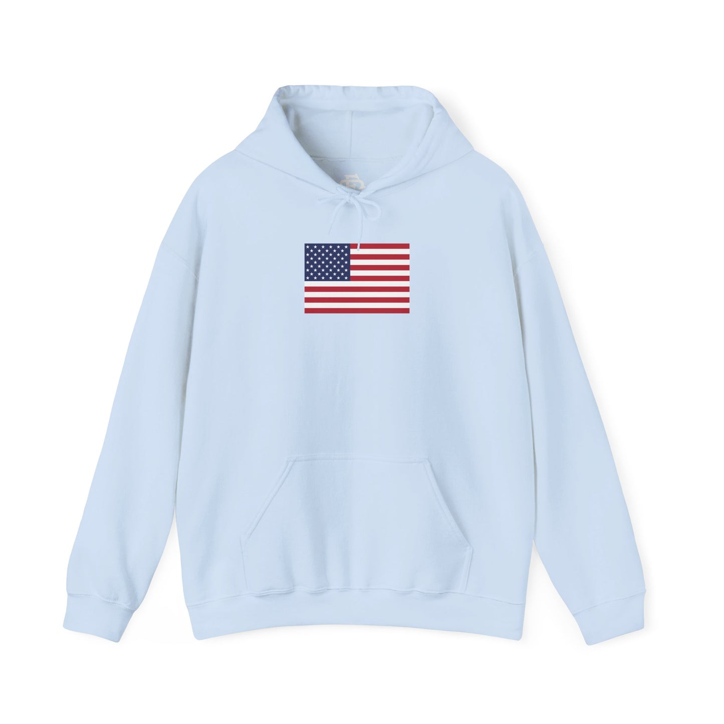USA (Large Flag) Hoodie