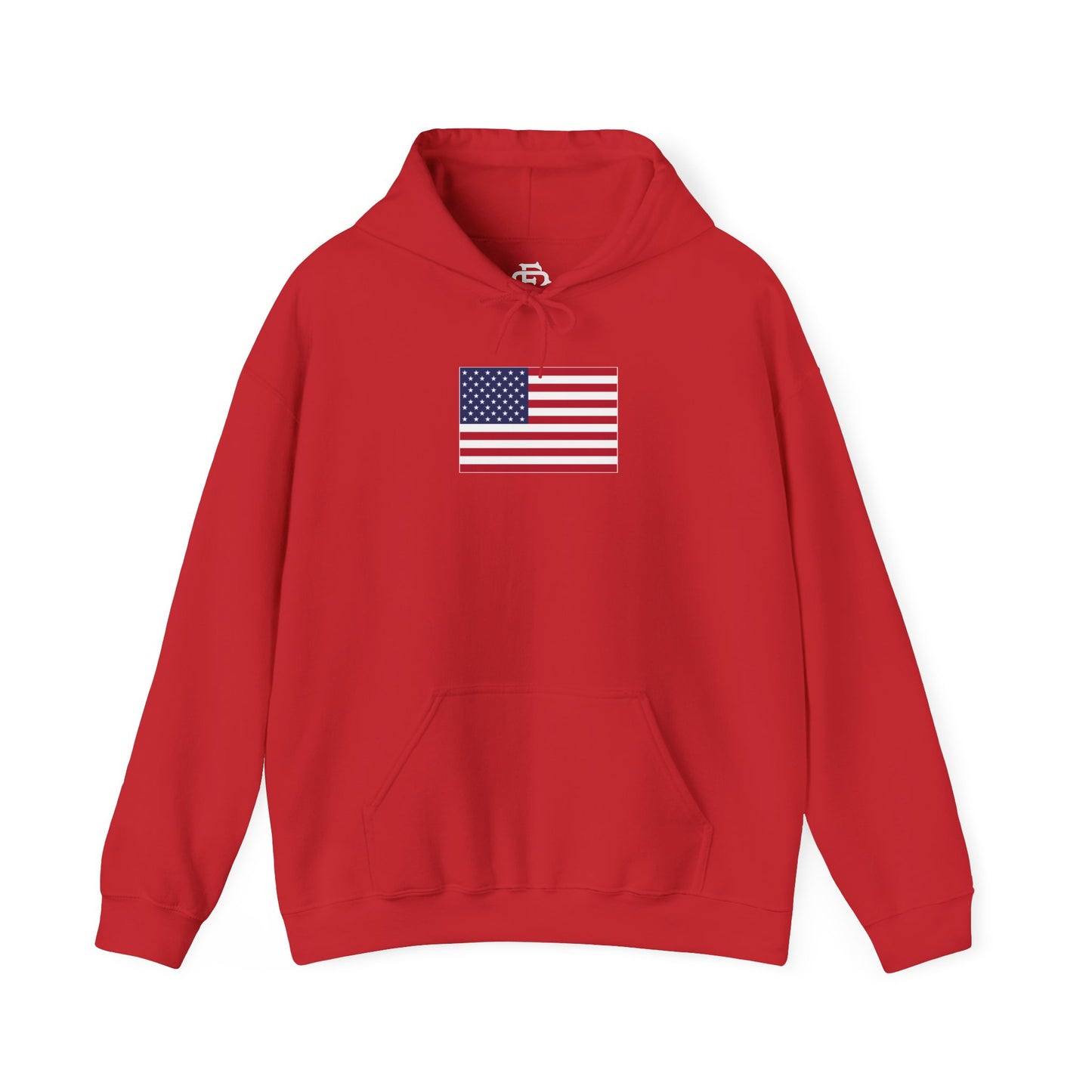 USA (Large Flag) Hoodie