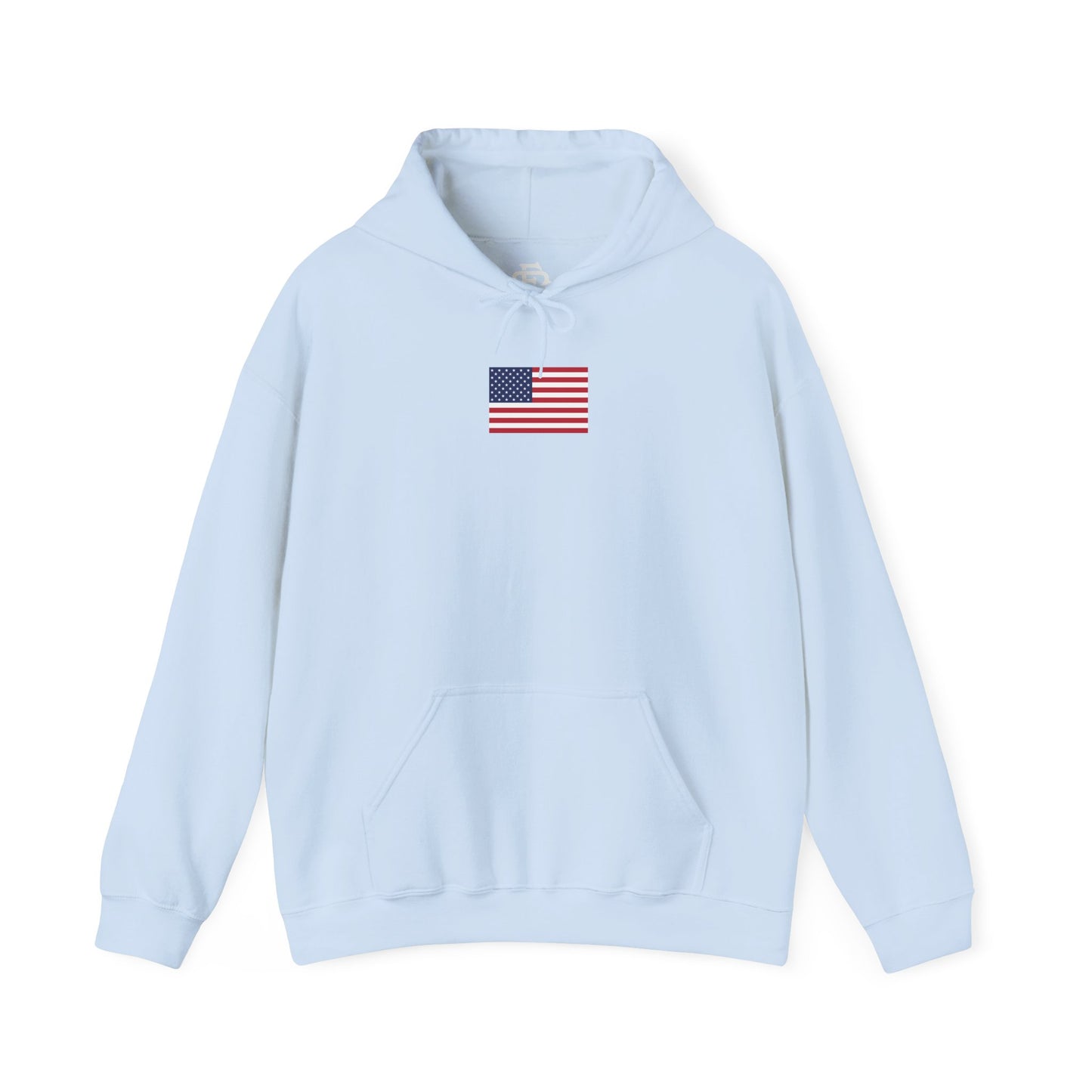 USA Flag Hoodie
